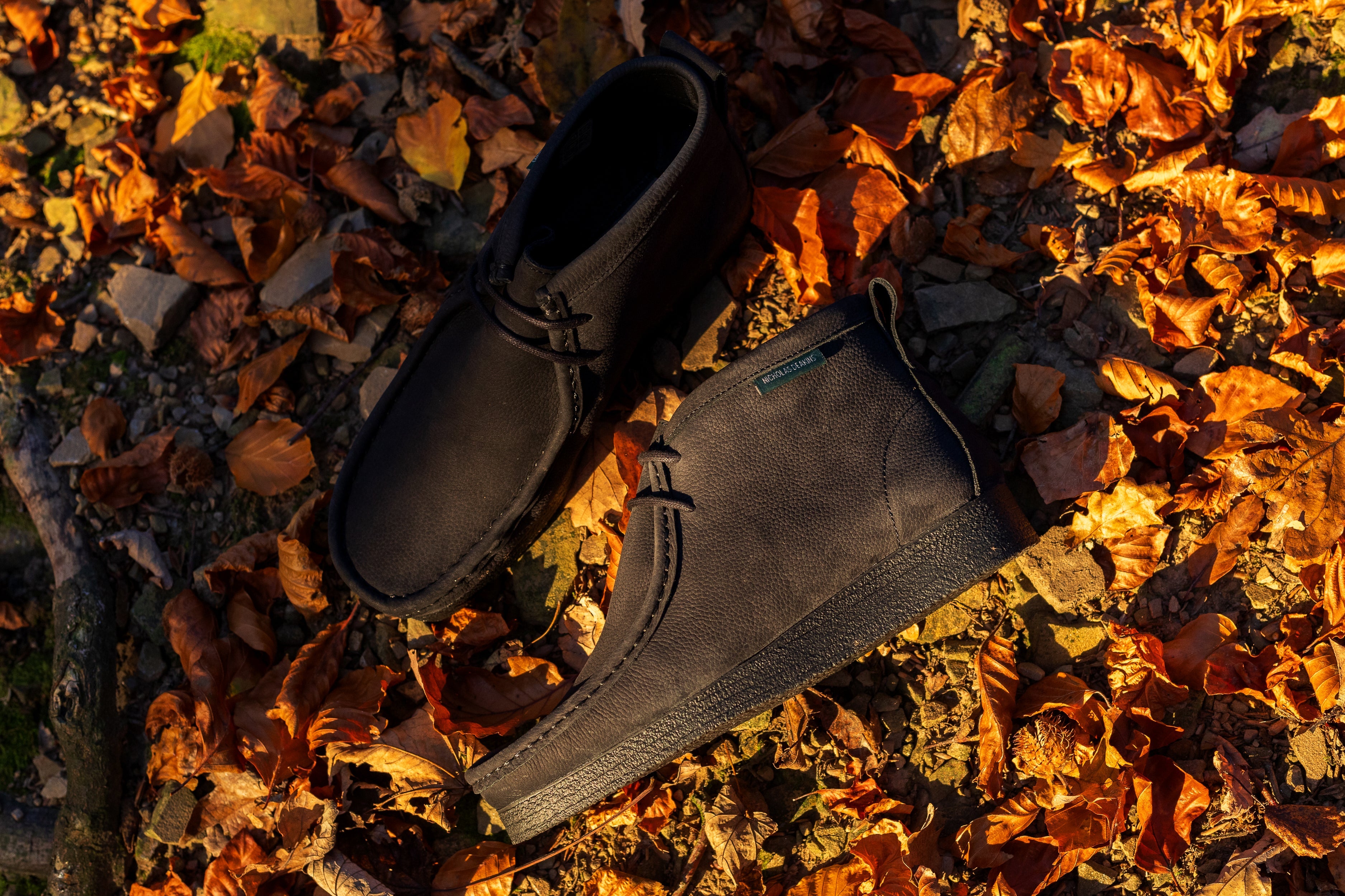 NICHOLAS DEAKINS CLASSICS