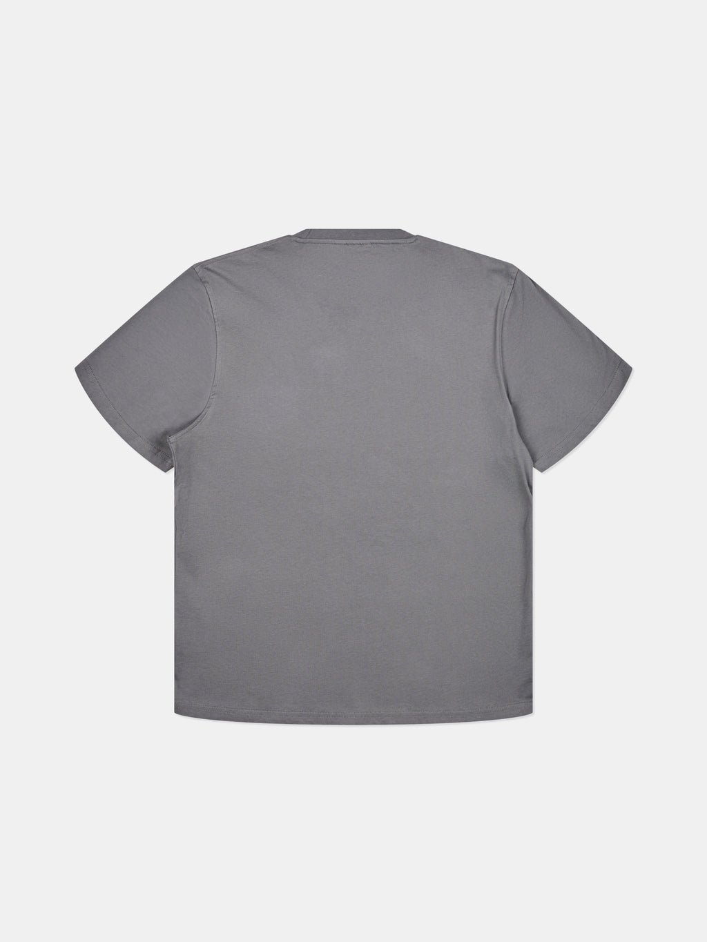 Albion Logo T-Shirt Mid Grey